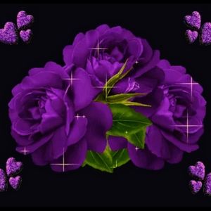 Meet your Posher, Roberto